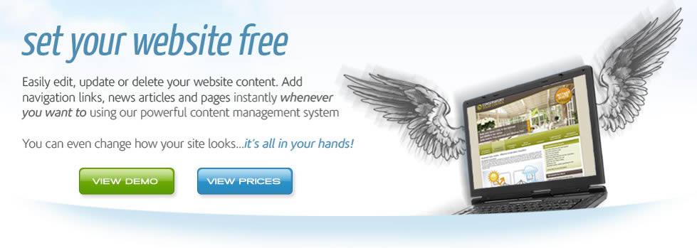 Affordable CMS Websites - Web Content Management System